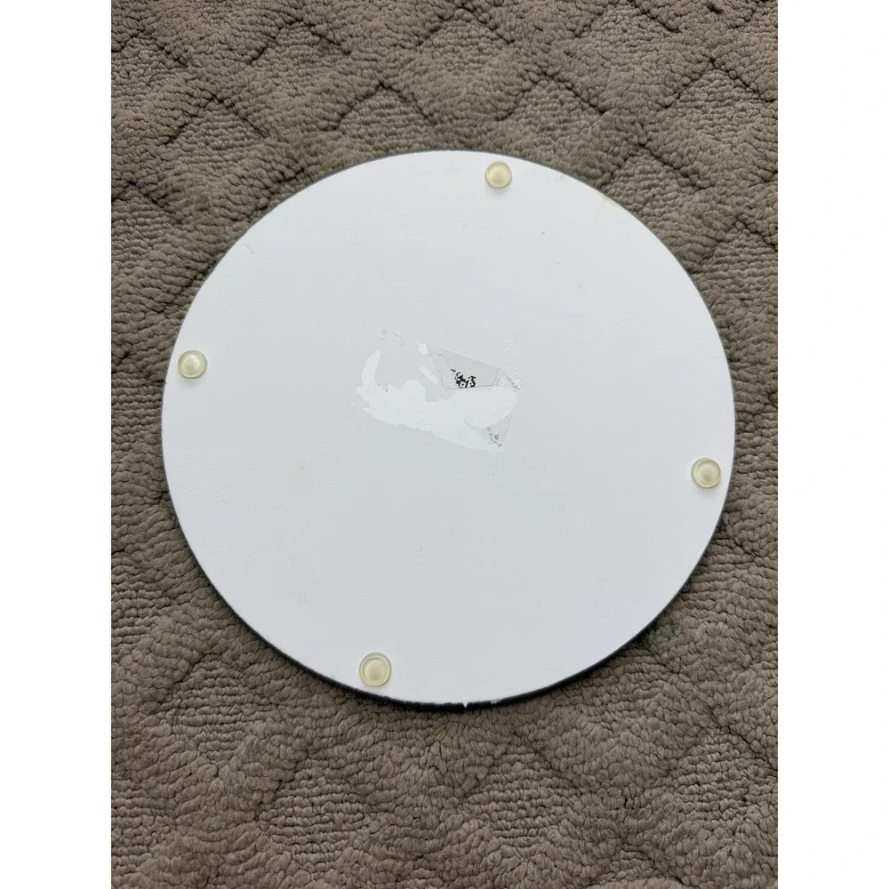Tempered Glass Trivet Fruit Fresh Sweet Blueberries 8 Inch